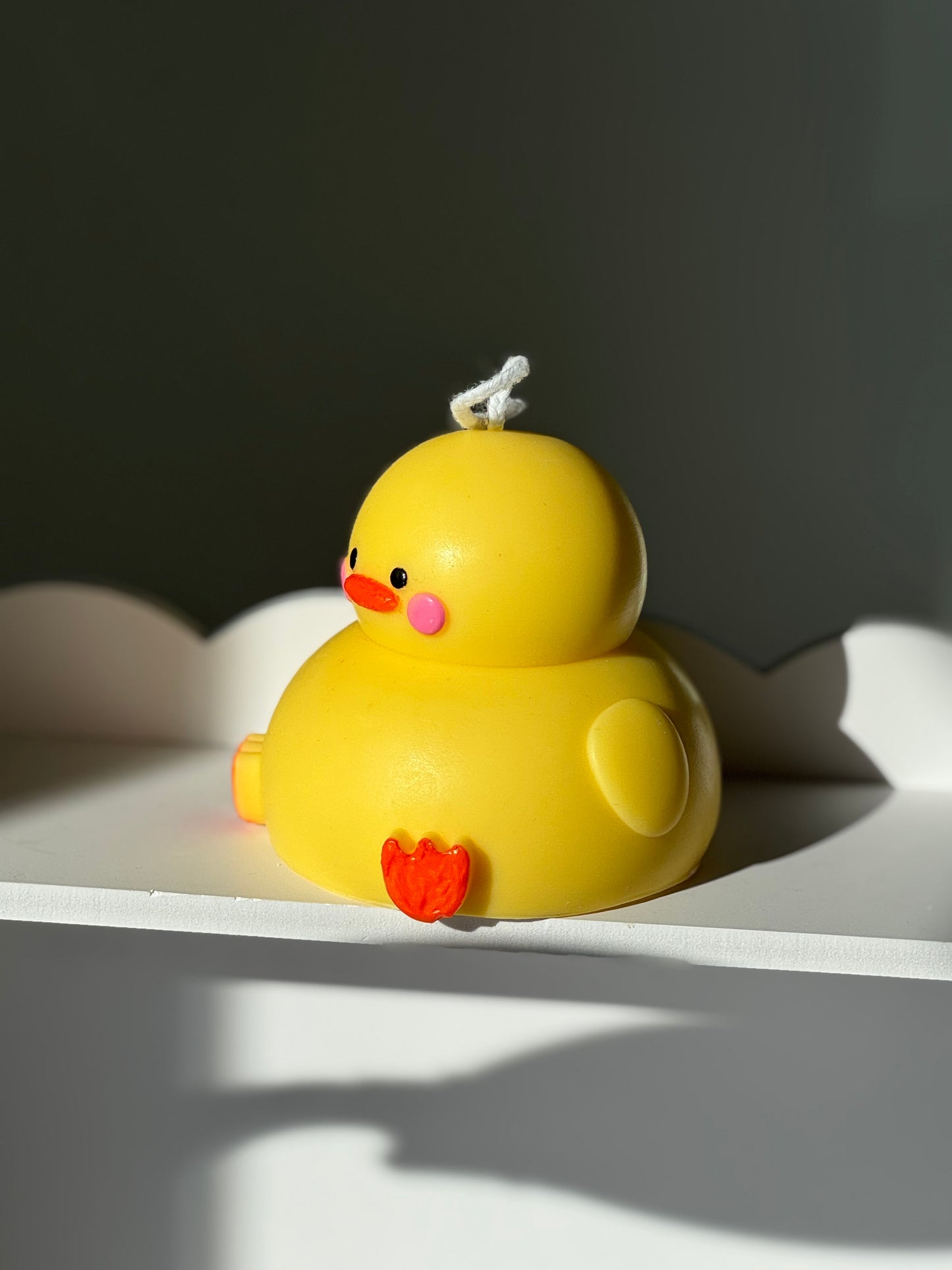 Chunky Duck